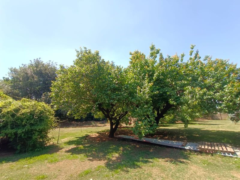 !Lovely, Captivating!  !A Place to Hang your Heart! - Photo 9