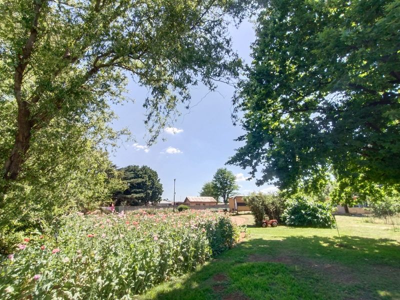 !Lovely, Captivating!  !A Place to Hang your Heart! - Photo 8