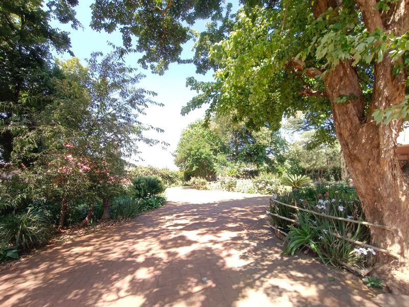 !Lovely, Captivating!  !A Place to Hang your Heart! - Photo 6