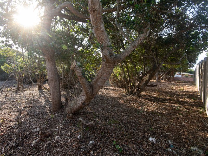 Level & Secure – 1088m2 Stand in Groot Brak - Photo 6