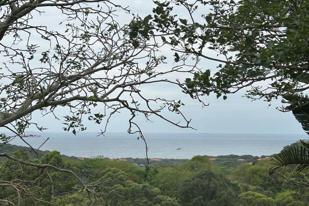 Modern Townhouse with Spectacular Sea Views in Zimbali Estate, Ballito - Photo 4