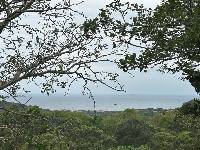 Modern Townhouse with Spectacular Sea Views in Zimbali Estate, Ballito - Photo 4