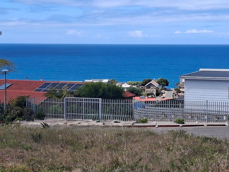 A scenic elevated view overlooking the ocean and surrounding coastal residential neighborhood.