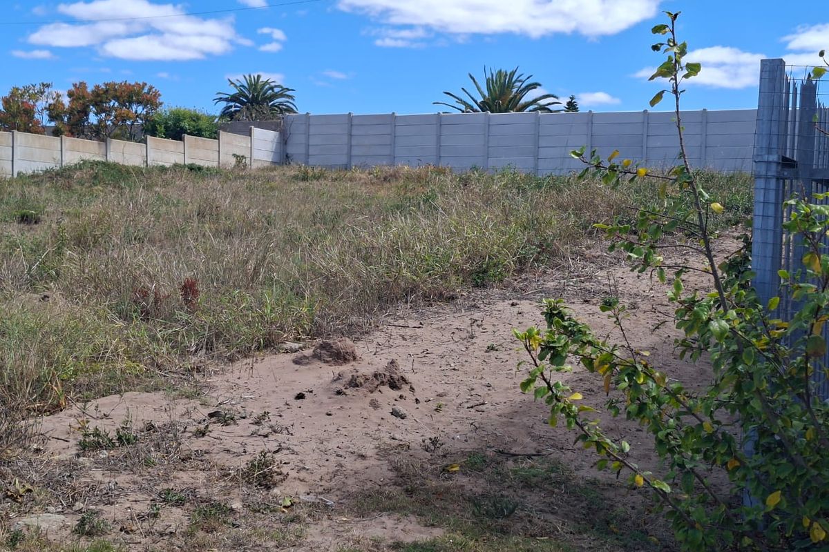 A vacant residential plot featuring natural vegetation, sandy ground, and a precast concrete boundary wall along the perimeter.
