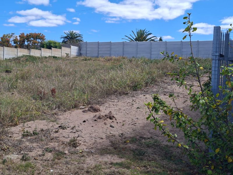 A vacant residential plot featuring natural vegetation, sandy ground, and a precast concrete boundary wall along the perimeter.