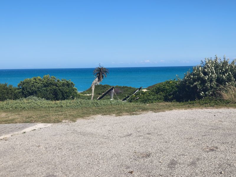 A scenic view of the ocean and coastal vegetation from a gravel surface area on the property.