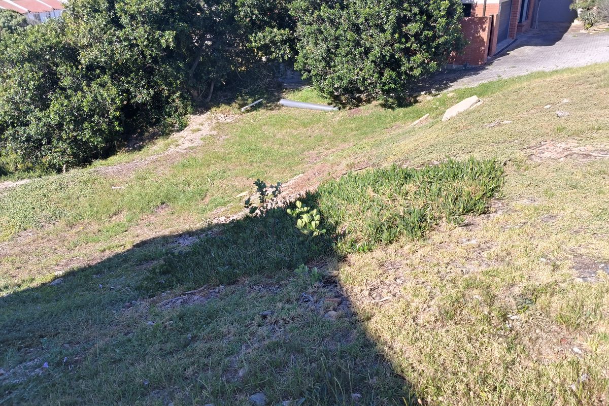 A view of the sloped, grassed garden area with established trees and vegetation, showing the natural topography of the residential vacant land.