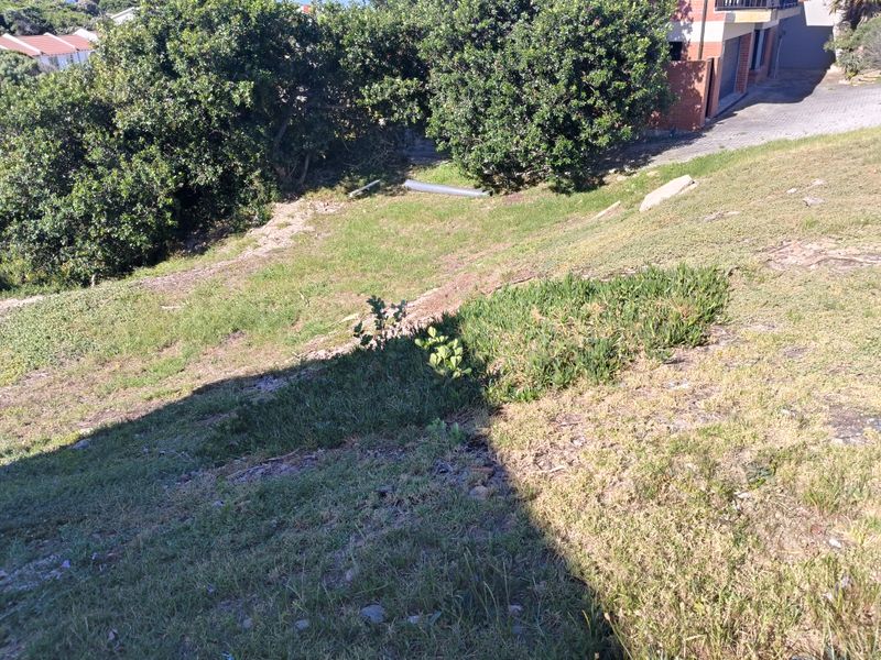 A view of the sloped, grassed garden area with established trees and vegetation, showing the natural topography of the residential vacant land.