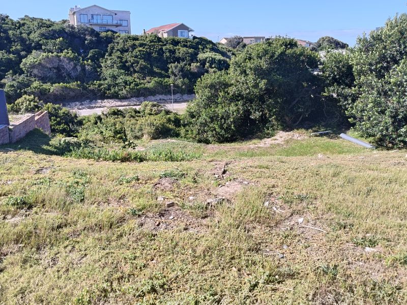 A view of the sloped, undeveloped residential land featuring natural vegetation and surrounding neighborhood landscape.