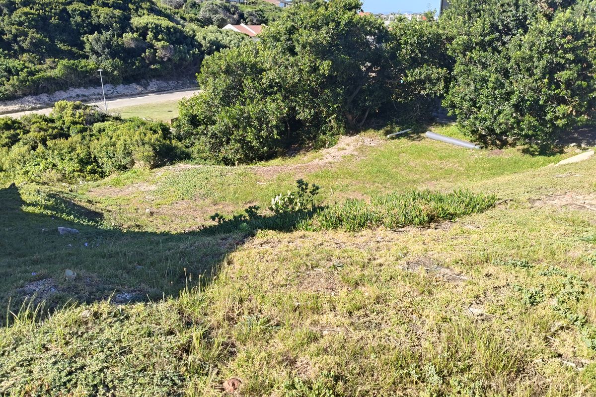 A view of a sloped, grassed residential plot featuring established trees and shrubs, offering potential for landscaping or development.