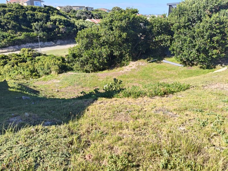 A view of a sloped, grassed residential plot featuring established trees and shrubs, offering potential for landscaping or development.