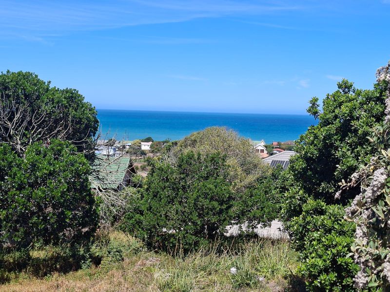 A scenic elevated view overlooking the coastal landscape and ocean, framed by mature trees and vegetation.