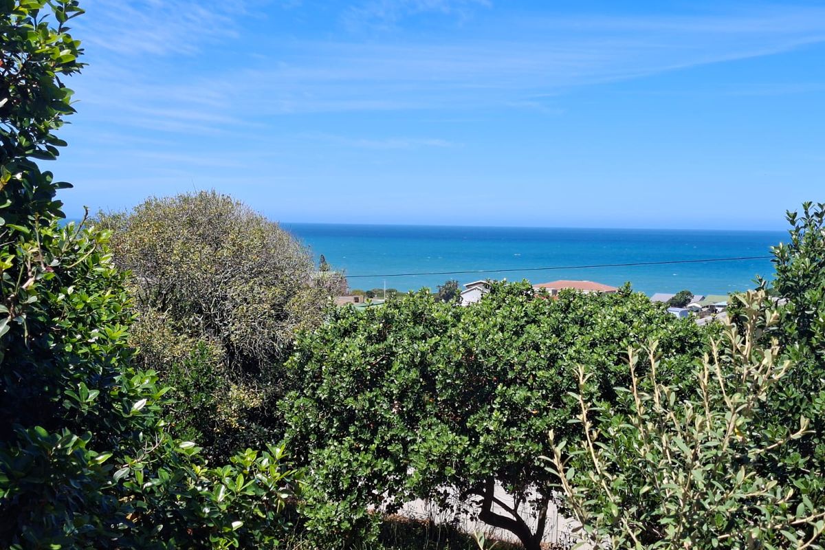 A scenic view of the ocean and coastal landscape, framed by mature trees and vegetation on the residential property.