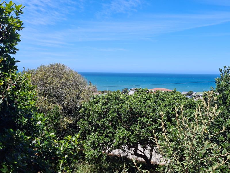A scenic view of the ocean and coastal landscape, framed by mature trees and vegetation on the residential property.