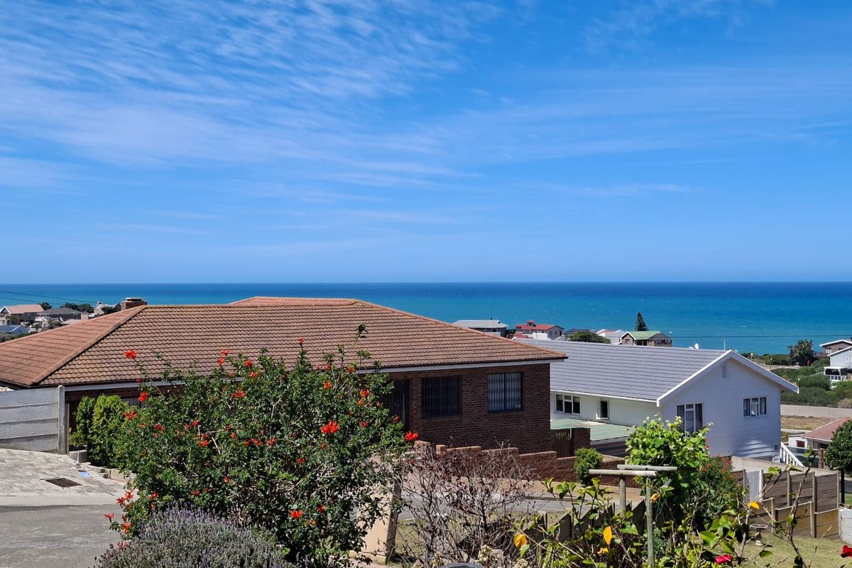 A scenic elevated view overlooking the surrounding residential neighborhood with a clear, expansive outlook towards the ocean.