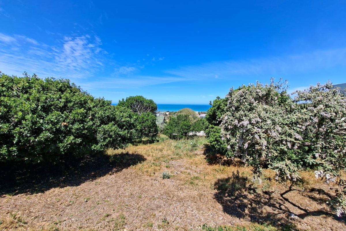A scenic view of the coastline framed by mature trees and shrubs on a vacant residential plot.