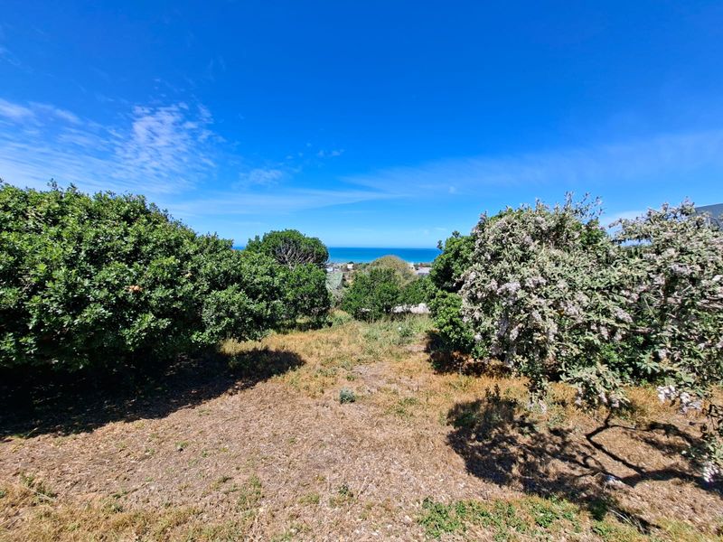 A scenic view of the coastline framed by mature trees and shrubs on a vacant residential plot.