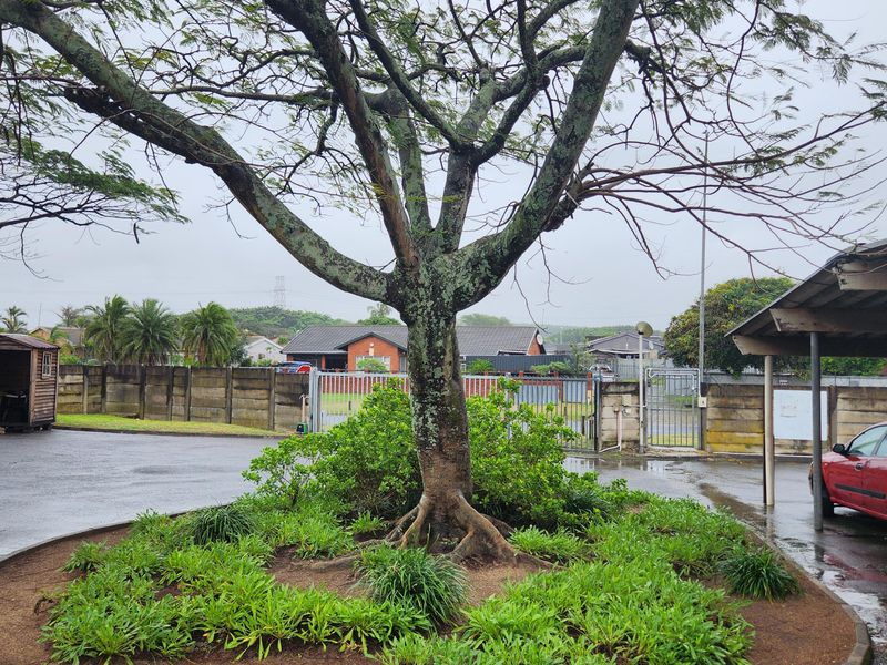 Point of view - Photo 2