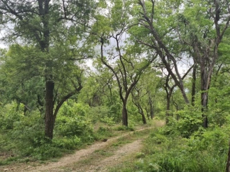 Water and Soil Rich Farm - Photo 10