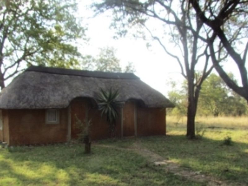 Water and Soil Rich Farm - Photo 8