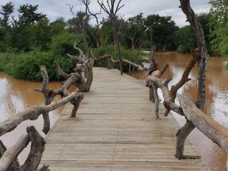 Water and Soil Rich Farm - Photo 6