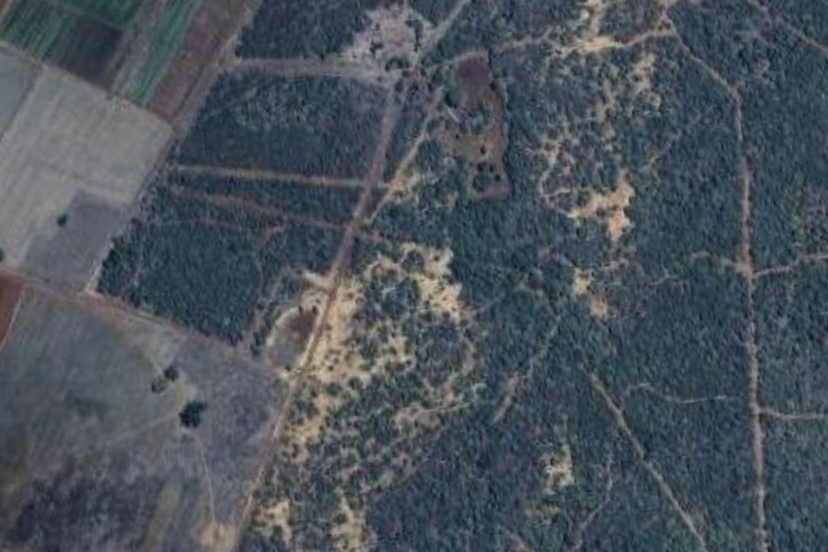 Water and Soil Rich Farm - Photo 5