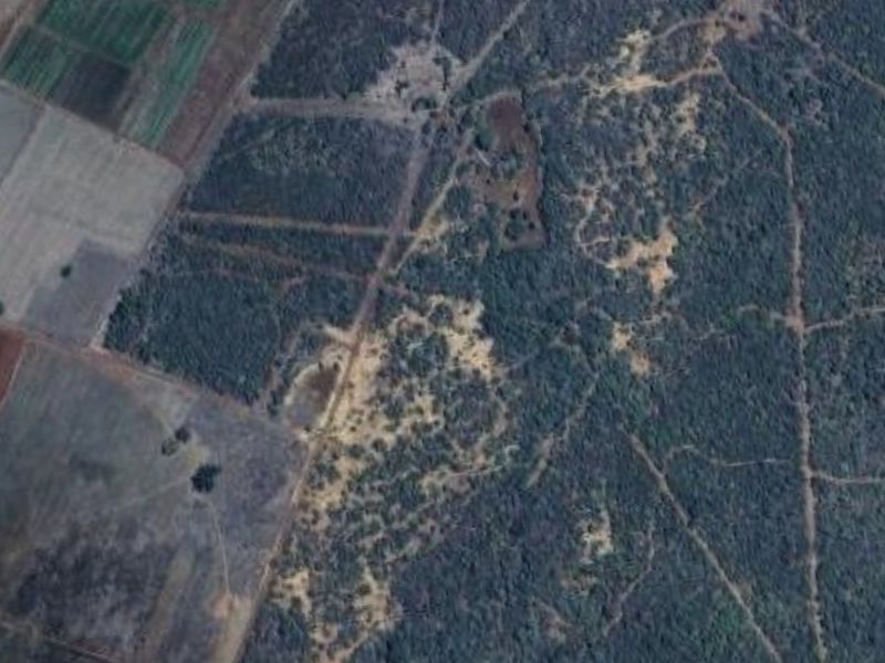 Water and Soil Rich Farm - Photo 5