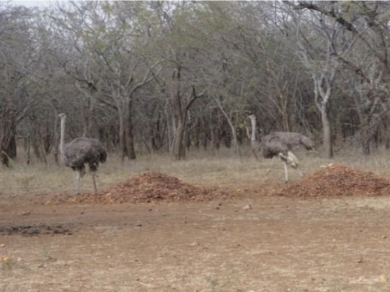 Water and Soil Rich Farm - Photo 3