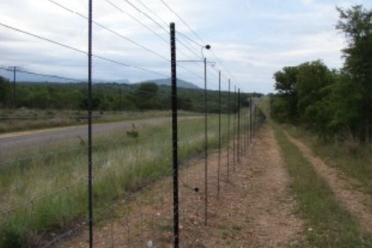 Water and Soil Rich Farm - Photo 4