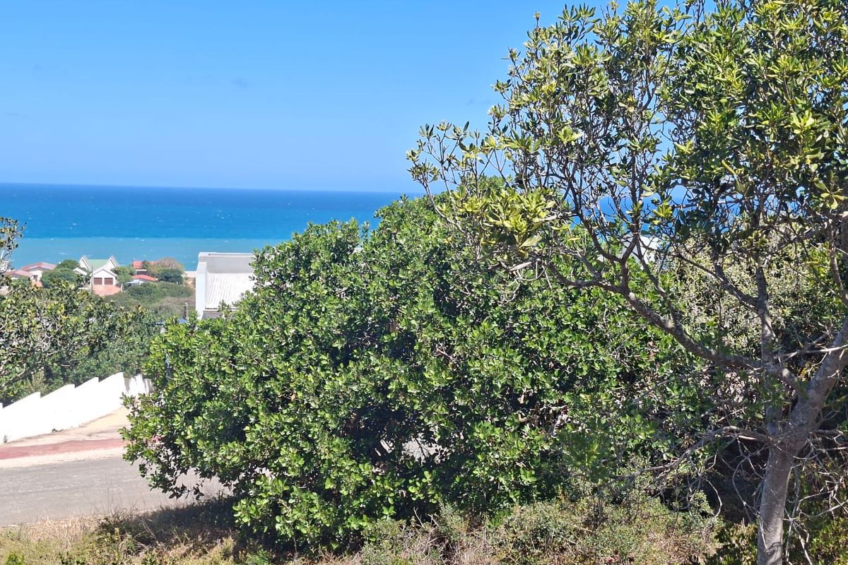 Seaview stand in upmarket and quiet area - Photo 2