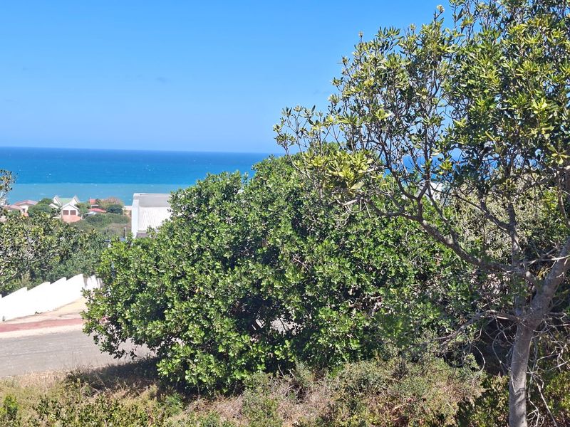 Seaview stand in upmarket and quiet area - Photo 2