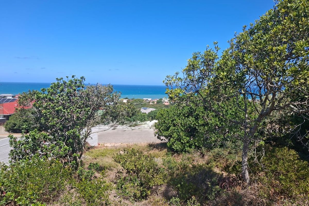 Seaview stand in upmarket and quiet area - Photo 4