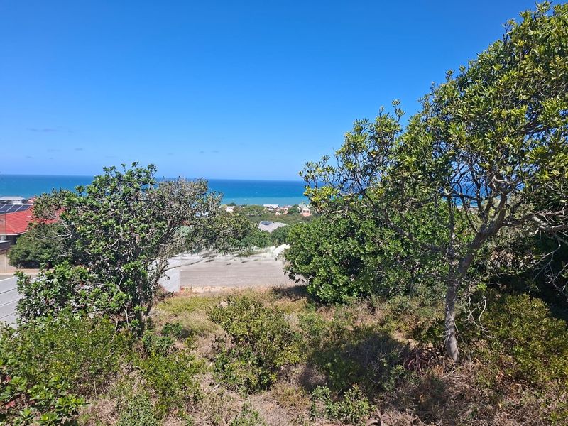 Seaview stand in upmarket and quiet area - Photo 4