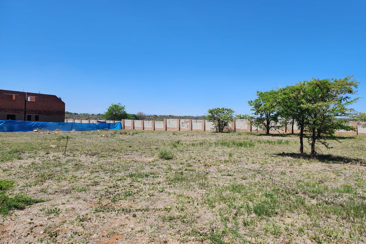 A vacant residential plot featuring natural vegetation, mature trees, and a perimeter boundary wall.