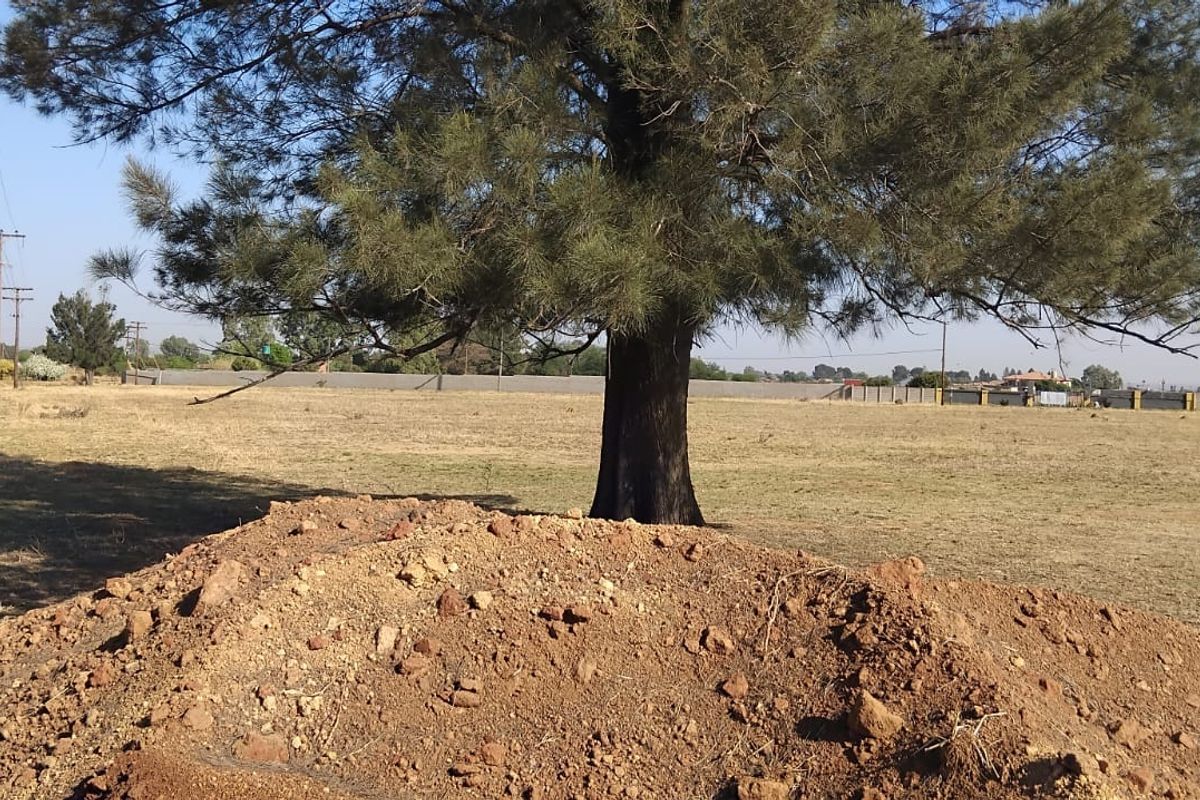 Vacant land for sale in Nelsonia Meyerton !!! - Photo 2