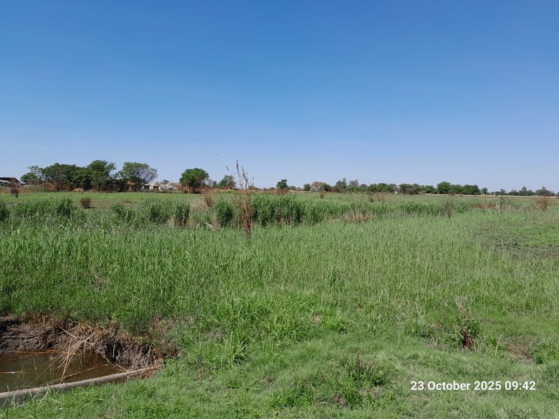 8.49ha Property with Business Potential on Busy Tar Road - Photo 8