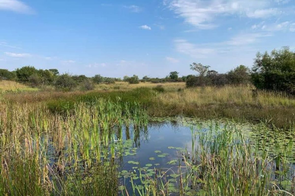 8.49ha Property with Business Potential on Busy Tar Road - Photo 3