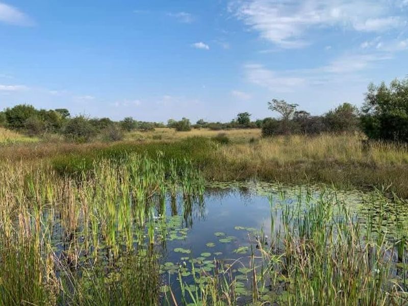 8.49ha Property with Business Potential on Busy Tar Road - Photo 3