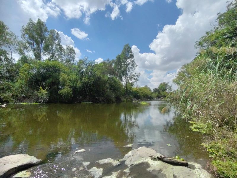 Vacant Land for sale - Photo 8