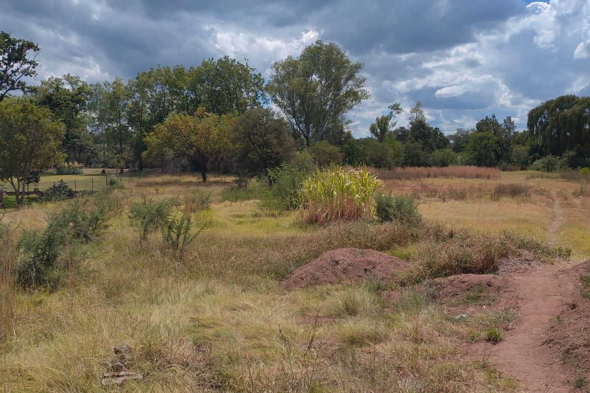 Vacant Land for sale - Photo 3