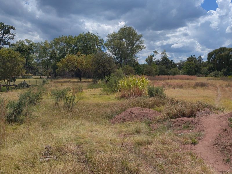 Vacant Land for sale - Photo 3