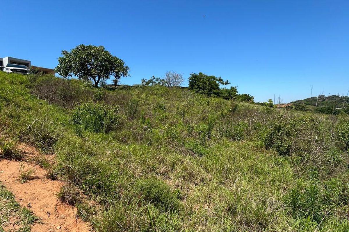 1,288m2 Vacant Land For Sale | Zululami Luxury Coastal Estate - Photo 5
