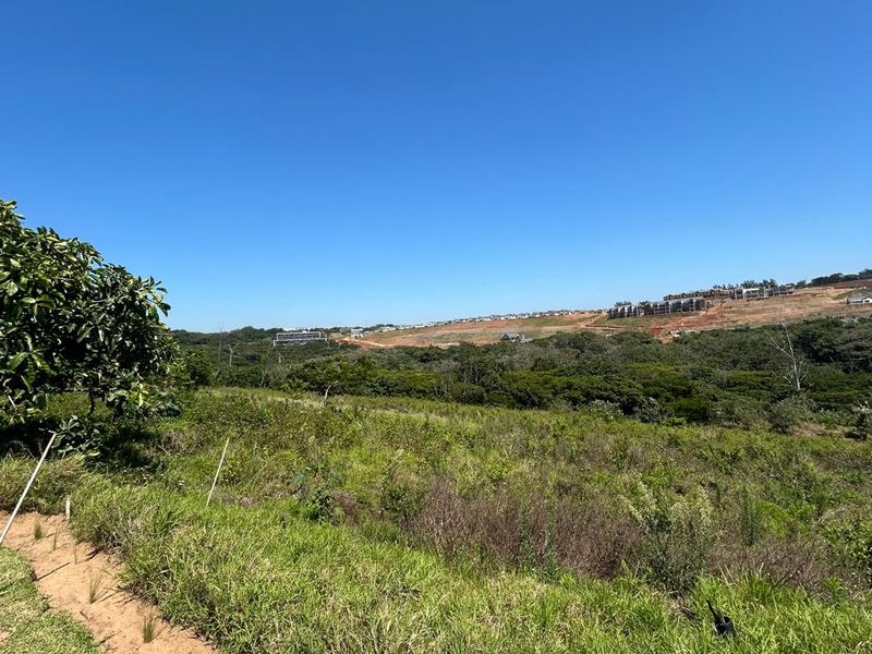 1,288m2 Vacant Land For Sale | Zululami Luxury Coastal Estate - Photo 8