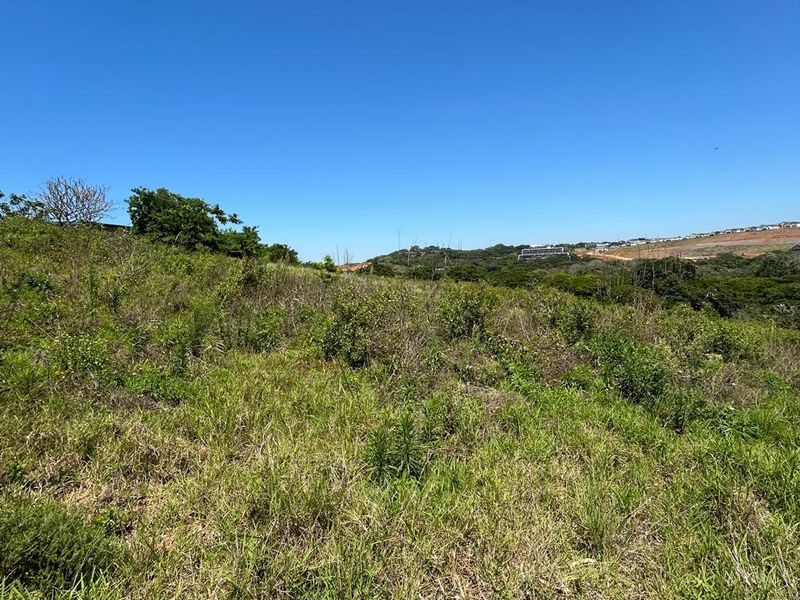 1,288m2 Vacant Land For Sale | Zululami Luxury Coastal Estate - Photo 6