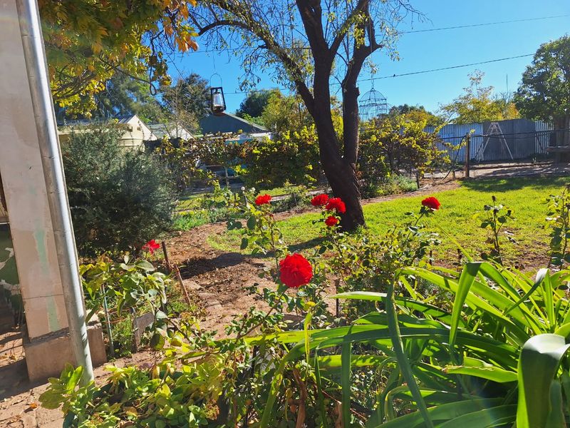 A view of a private garden featuring mature trees, established flower beds, and a lawn area.