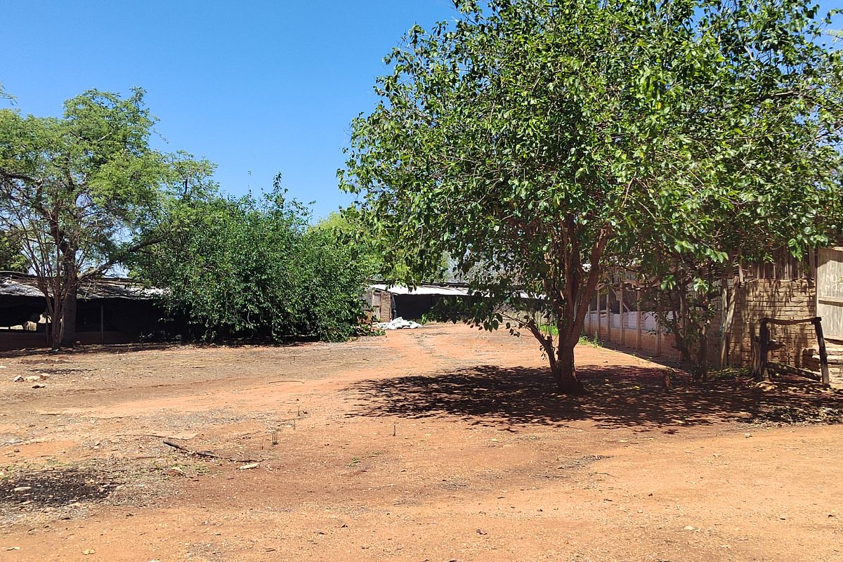A spacious outdoor farm yard area featuring mature trees, unpaved ground, and access to various outbuildings on the property.