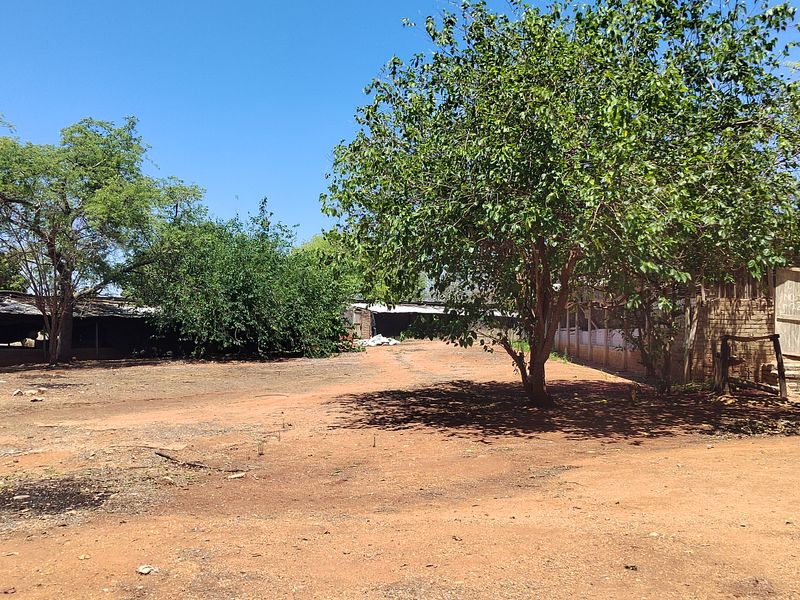 A spacious outdoor farm yard area featuring mature trees, unpaved ground, and access to various outbuildings on the property.
