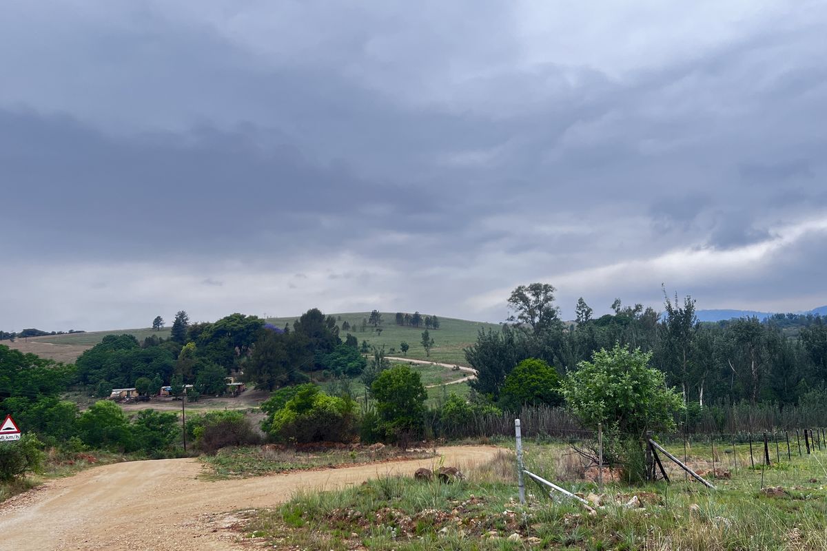 Country Living Close to Town! - Photo 4