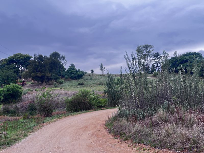 A view of the gravel access road winding through the open landscape of the small holding, surrounded by natural vegetation and trees.