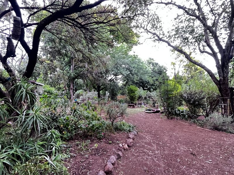 A lush, established garden area featuring mature trees, diverse shrubbery, and a natural earth pathway bordered by stone edging.